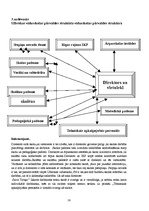 Prakses atskaite 'Izglītības iestāžu vērošanas prakses atskaite', 16.