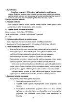 Prakses atskaite 'Izglītības iestāžu vērošanas prakses atskaite', 17.