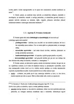 Referāts 'Agresija', 5.