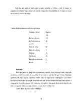 Referāts 'Kofeīns tējās', 10.