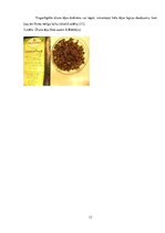 Referāts 'Kofeīns tējās', 13.