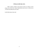 Referāts 'Kofeīns tējās', 17.