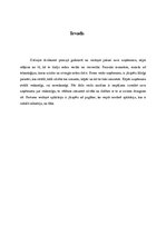 Konspekts 'Aplikācijas ideja', 2.