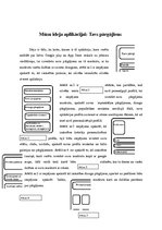 Konspekts 'Aplikācijas ideja', 5.