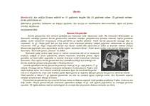 Eseja 'Baroks un baroka glezniecība', 1.