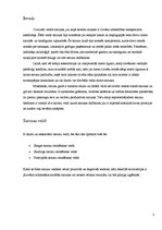 Referāts 'Lietišķo sarunu māksla', 3.