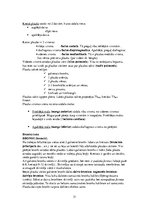 Konspekts 'Anatomija', 31.