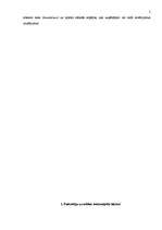 Referāts 'Veikalu ķēdes "Com4tel" raksturojums', 5.