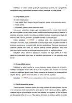 Referāts 'Veikalu ķēdes "Com4tel" raksturojums', 11.