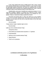 Referāts 'Logu un durvju arhitektūras stila elementi Vecrīgā', 3.