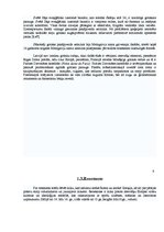 Referāts 'Logu un durvju arhitektūras stila elementi Vecrīgā', 6.