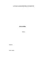 Referāts 'Zirgkopība', 1.