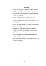 Referāts 'Zirgkopība', 13.