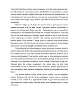 Eseja 'Deivida Linča filmas "Malholandas ceļš" analīze', 2.