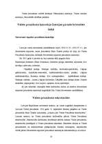 Referāts 'Valsts prezidenta institūcija', 19.