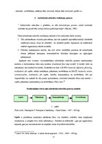 Referāts 'Hansabankas tēla analīze', 12.