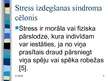 Prezentācija 'Izdegšanas sindroms skolotājiem', 6.