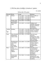 Referāts 'Uzņēmuma SIA "Latvijas Mobilais Telefons" mārketinga vides un stratēģijas analīz', 28.