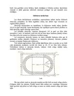 Referāts 'Ātrslidošana', 6.