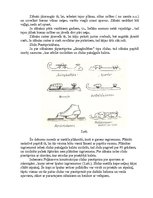 Referāts 'Ātrslidošana', 9.