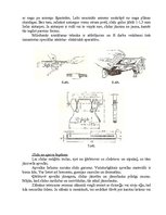 Referāts 'Ātrslidošana', 11.