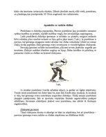 Referāts 'Ātrslidošana', 12.