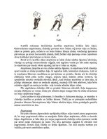 Referāts 'Ātrslidošana', 13.