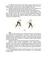 Referāts 'Ātrslidošana', 14.