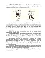 Referāts 'Ātrslidošana', 15.