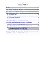 Referāts 'Brīvā ekonomiskā zona: teorija un pasaules pieredze', 2.