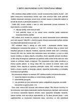 Referāts 'Brīvā ekonomiskā zona: teorija un pasaules pieredze', 6.