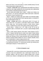 Referāts 'Brīvā ekonomiskā zona: teorija un pasaules pieredze', 11.