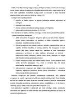 Referāts 'Brīvā ekonomiskā zona: teorija un pasaules pieredze', 16.