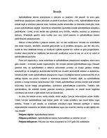 Referāts 'Apdrošināšanas sektora raksturojums un tā attīstība Latvijā', 3.