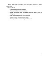 Referāts 'Apdrošināšanas sektora raksturojums un tā attīstība Latvijā', 4.