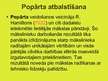 Prezentācija 'Popārts', 4.