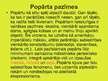 Prezentācija 'Popārts', 5.
