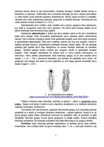 Referāts 'Nervu sistēmas evolūcija', 2.