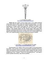Referāts 'Nervu sistēmas evolūcija', 4.