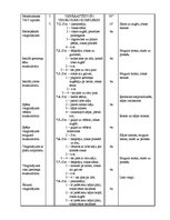 Paraugs 'Sporta stundas konspekts 2.klasei', 2.