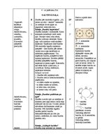 Paraugs 'Sporta stundas konspekts 2.klasei', 3.