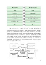 Referāts 'Industriālā ekoloģija. Ekoloģiskais metabolisms', 3.