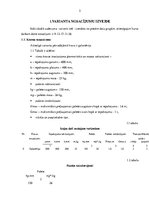 Referāts 'Kursa darbs loģistikā', 5.