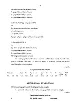 Referāts 'Kursa darbs loģistikā', 14.