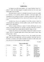 Referāts 'Kursa darbs loģistikā', 37.