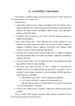 Referāts 'Tīkla pārvaldība, tīkla monitorings', 7.