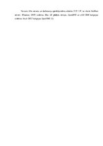 Referāts 'Tīkla pārvaldība, tīkla monitorings', 8.