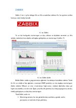 Referāts 'Tīkla pārvaldība, tīkla monitorings', 13.