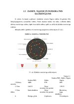 Referāts 'Tīkla pārvaldība, tīkla monitorings', 20.