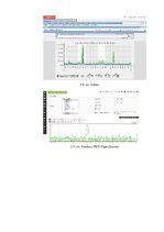 Referāts 'Tīkla pārvaldība, tīkla monitorings', 30.